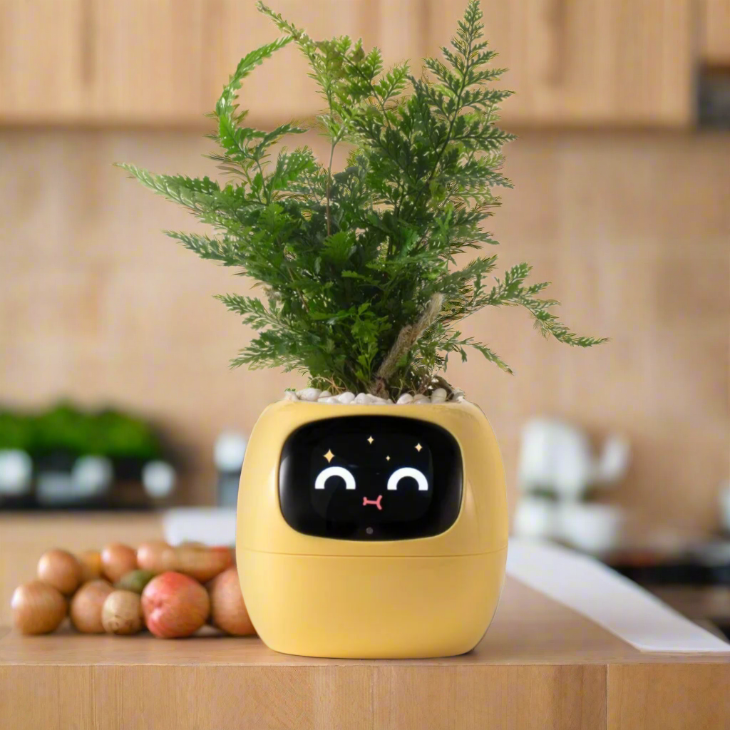 Ivy Smart Planter,USB Rechargeable Indoor Small Flower Pot for Indoor Decoration Make Raising Plant Easy and Fun